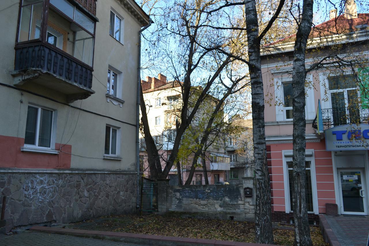 Catedra View Apartment Ternopil Dış mekan fotoğraf